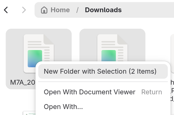 Screenshot of Gnome Files app in Downloads folder. Two files are selected and a context menu offers New Folder with Selection (2 Items) action.